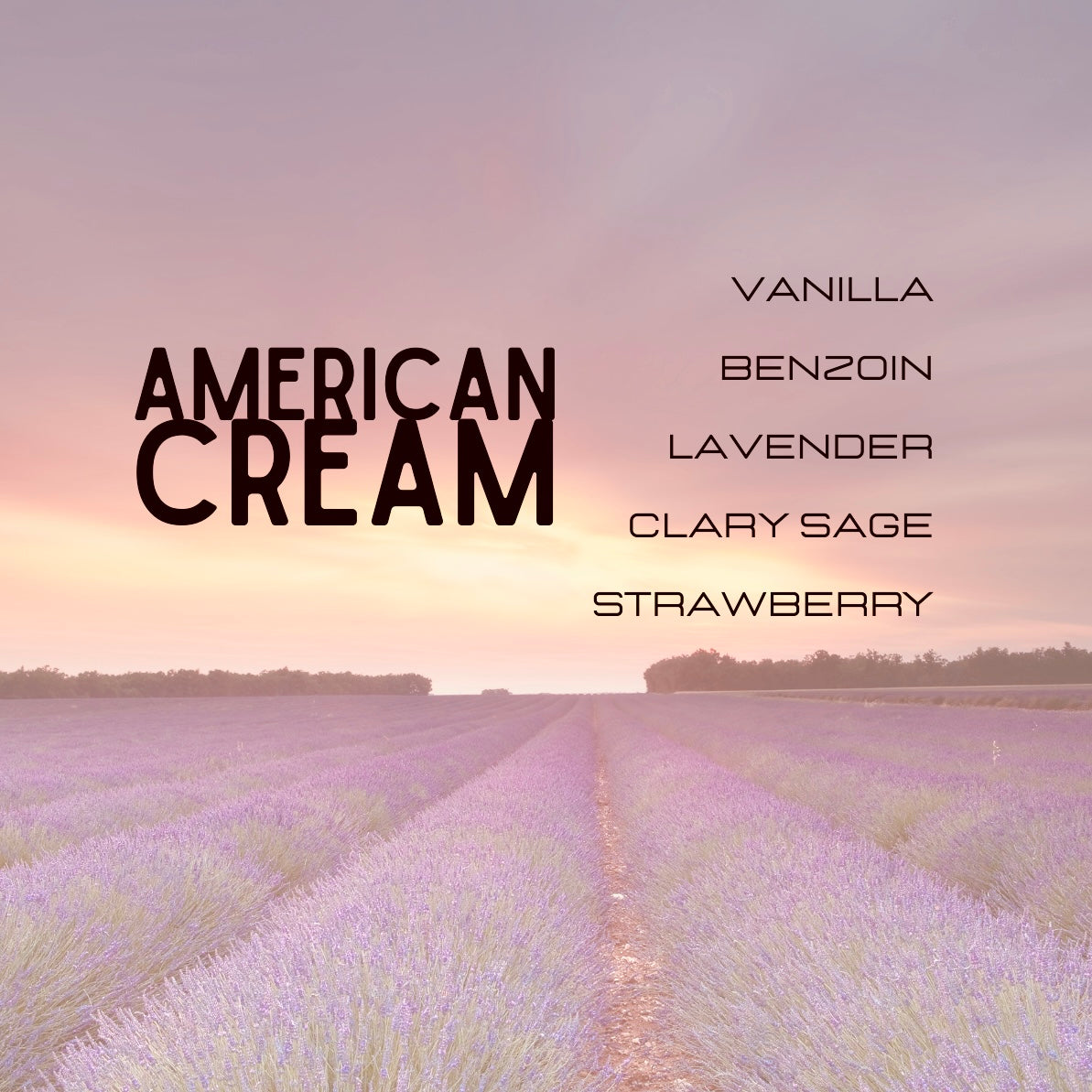 American Cream Perfume (Lush Type)