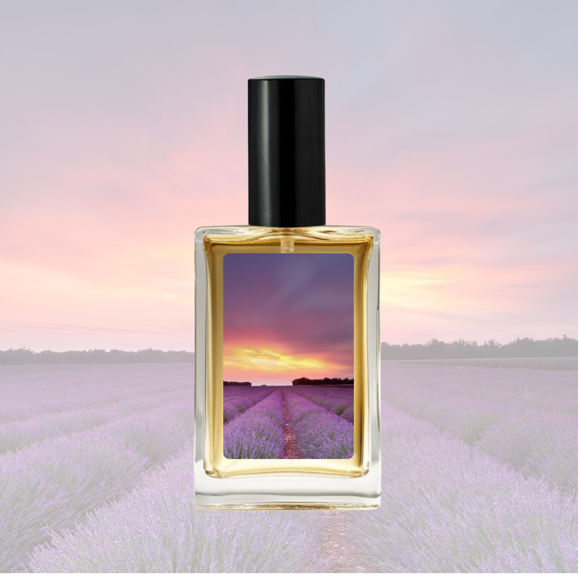 American Cream Perfume (Lush Type)