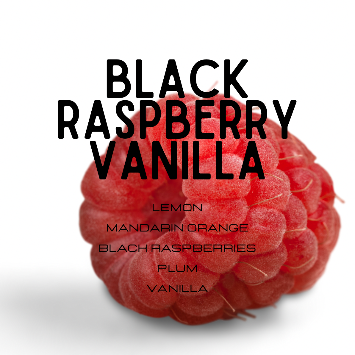 black raspberry vanilla perfume description