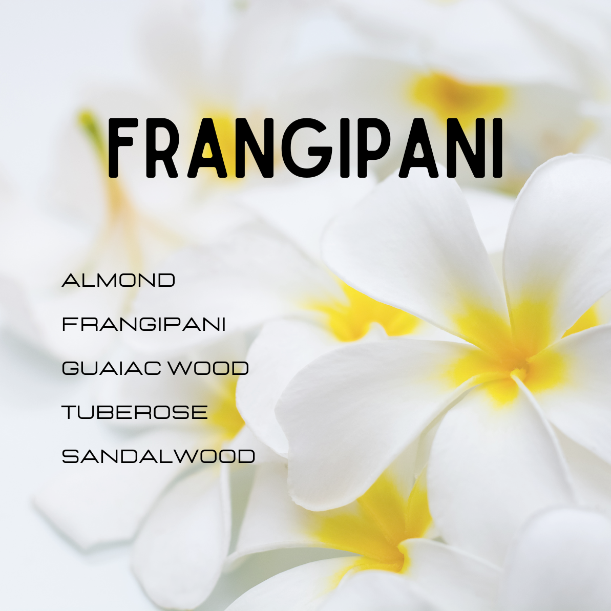 Frangipani flowers with text listing scents on a white background