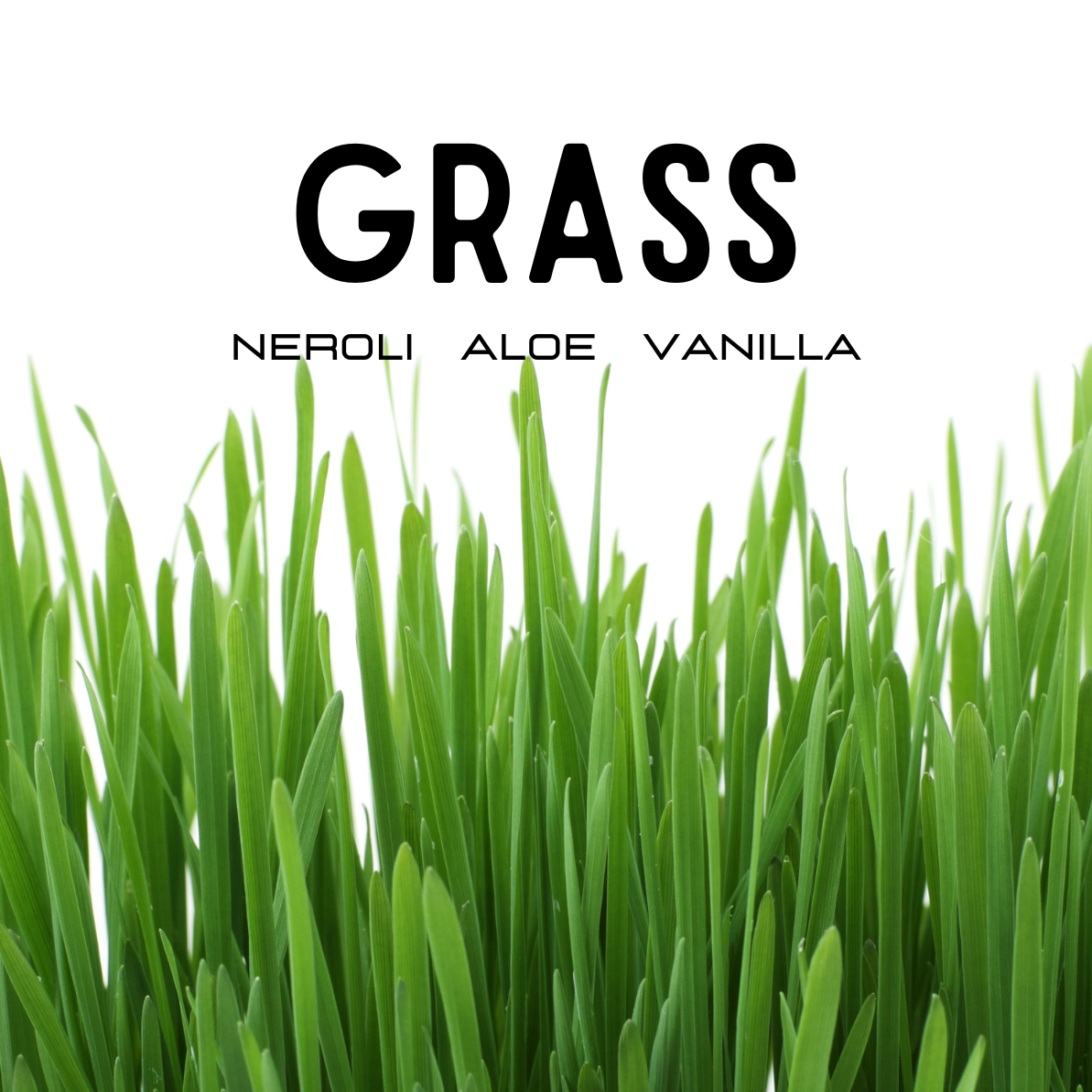 Grass Perfume (Lush Type)