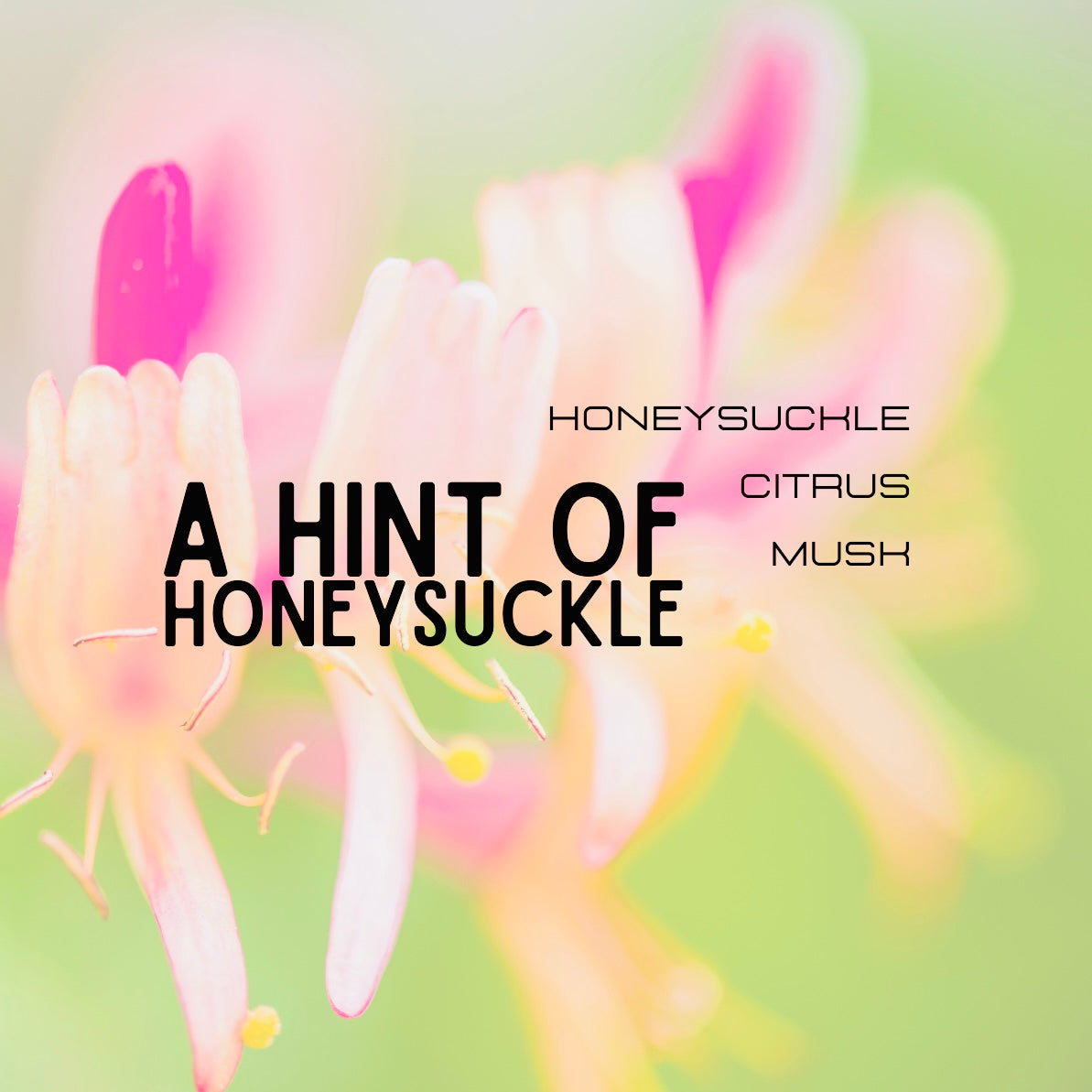 honeysuckle perfume description