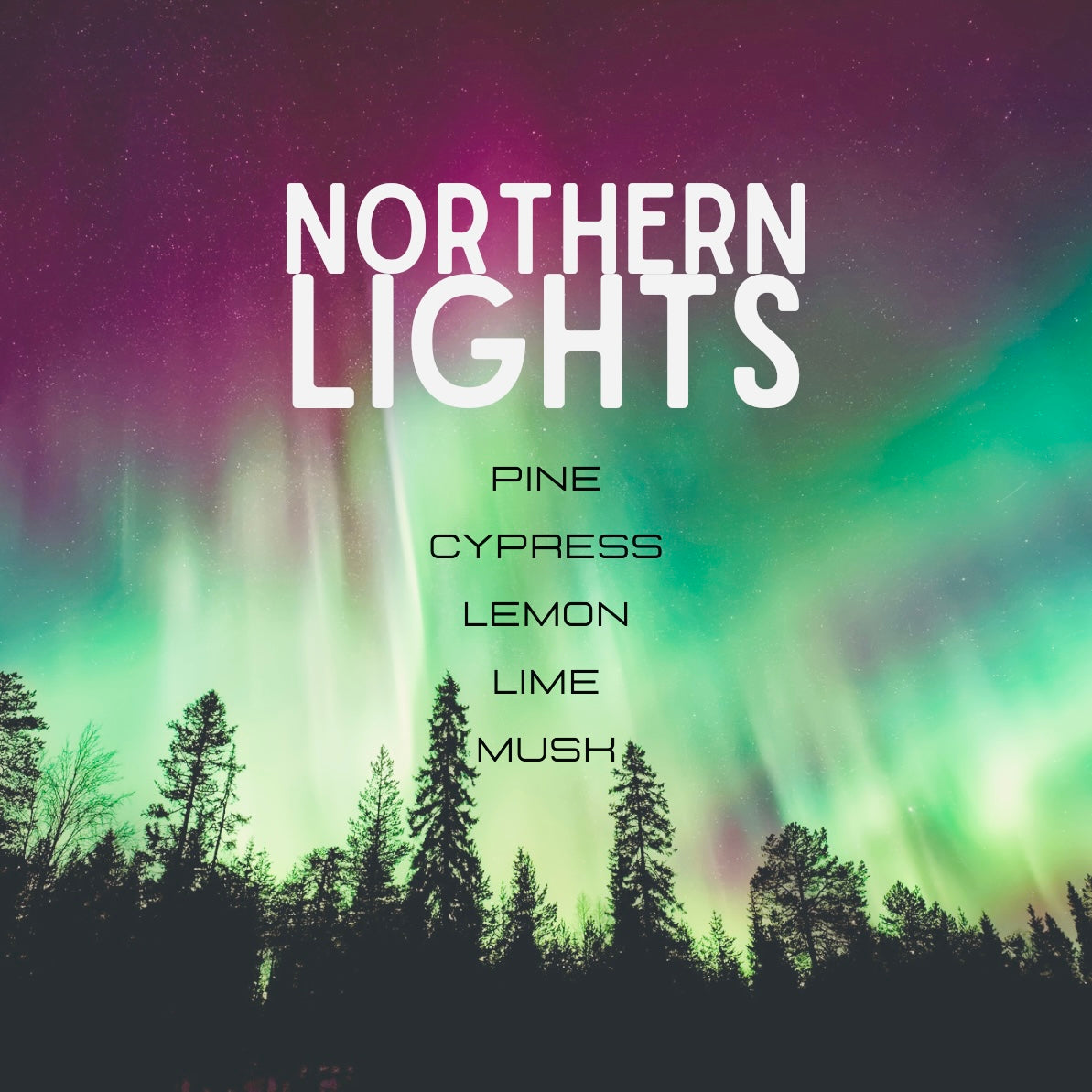 Aurora borealis over a forest with text 'Northern Lights' and color names.