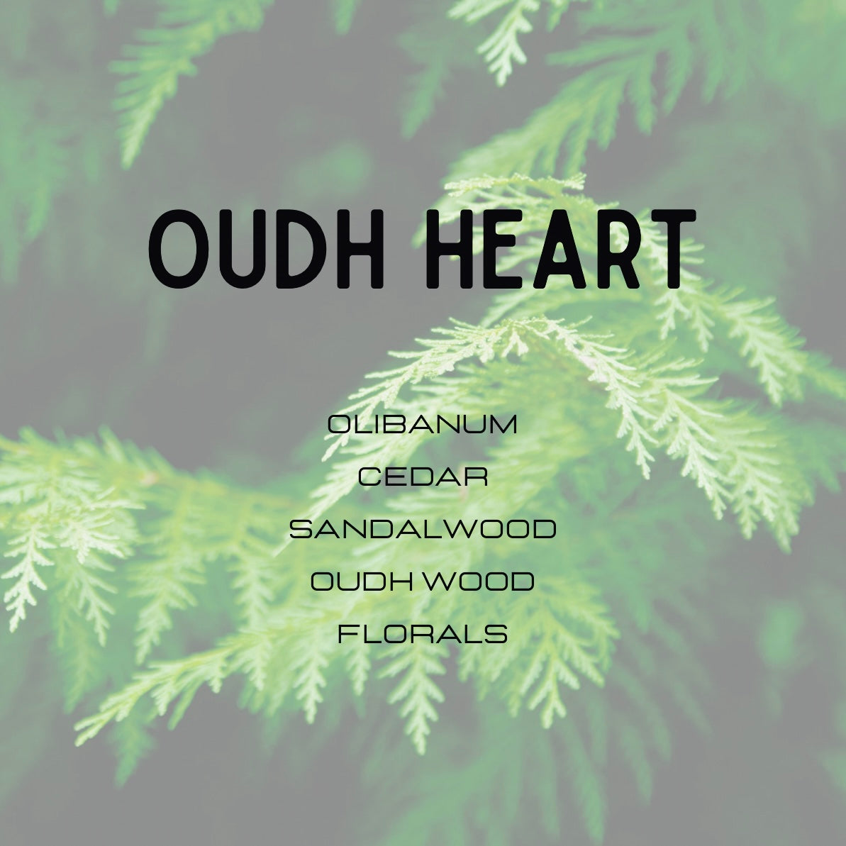 Text 'OUDH HEART' with a list of ingredients on a green leafy background