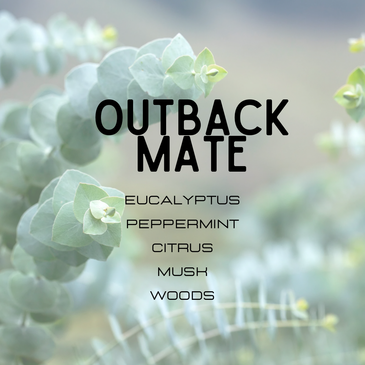 Eucalyptus leaves with 'Outback Mate' text and product description on a blurred natural background