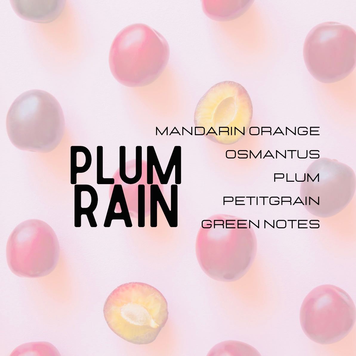 Text 'PLUM RAIN' with notes on a background of pink and purple plum-like shapes.