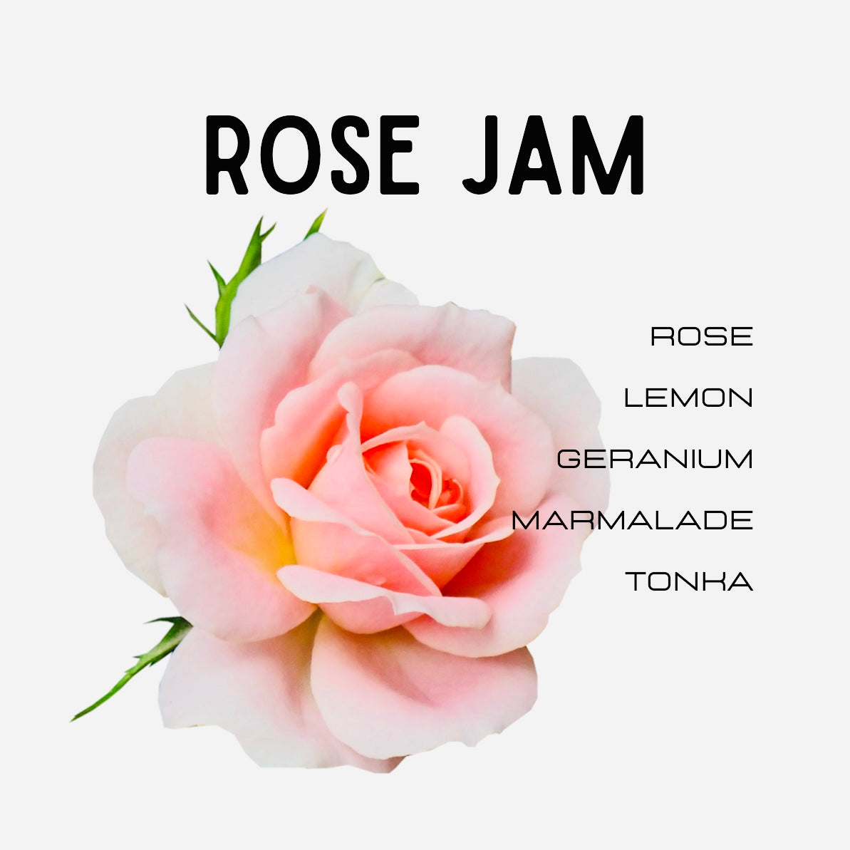 rose jam lush type perfume description
