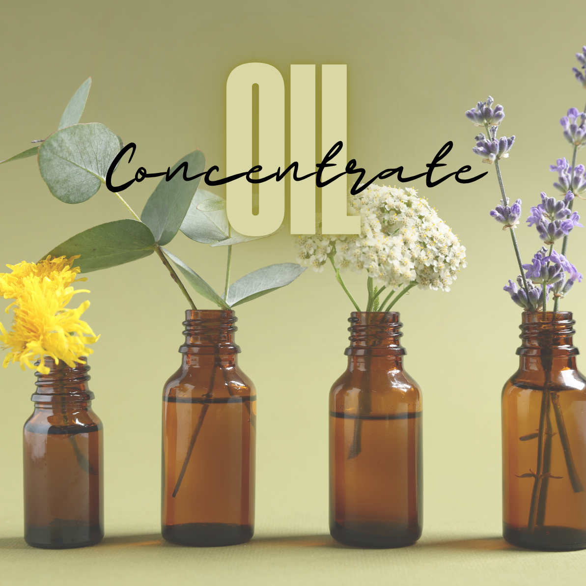 Pure Oils