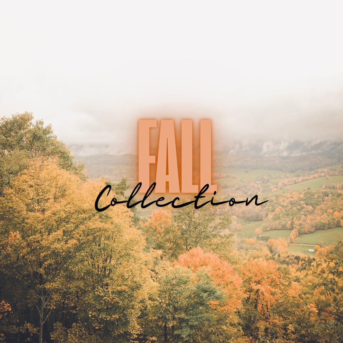 FALL COLLECTION