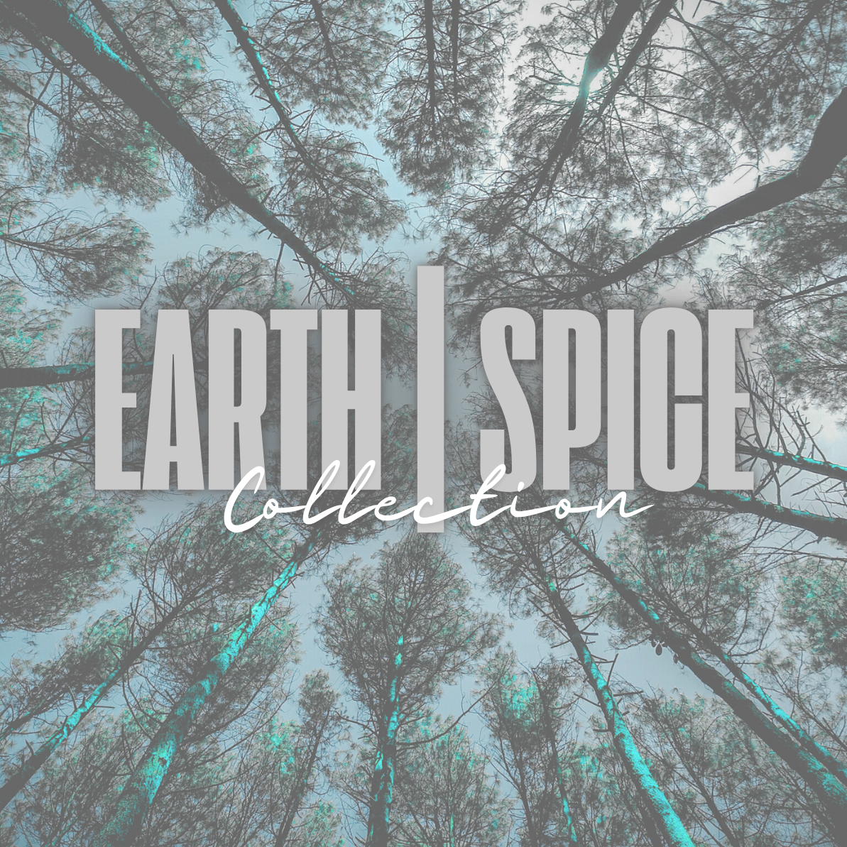 EARTH | SPICE COLLECTION