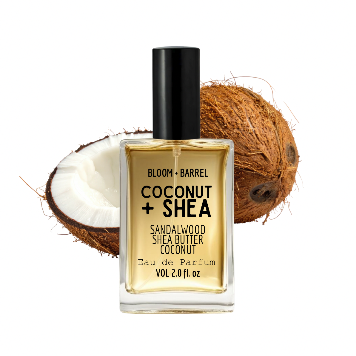 Bottle of Bloom + Barrel Coconut + Shea sandalwood shea butter coconut eau de parfum with a coconut in the background.