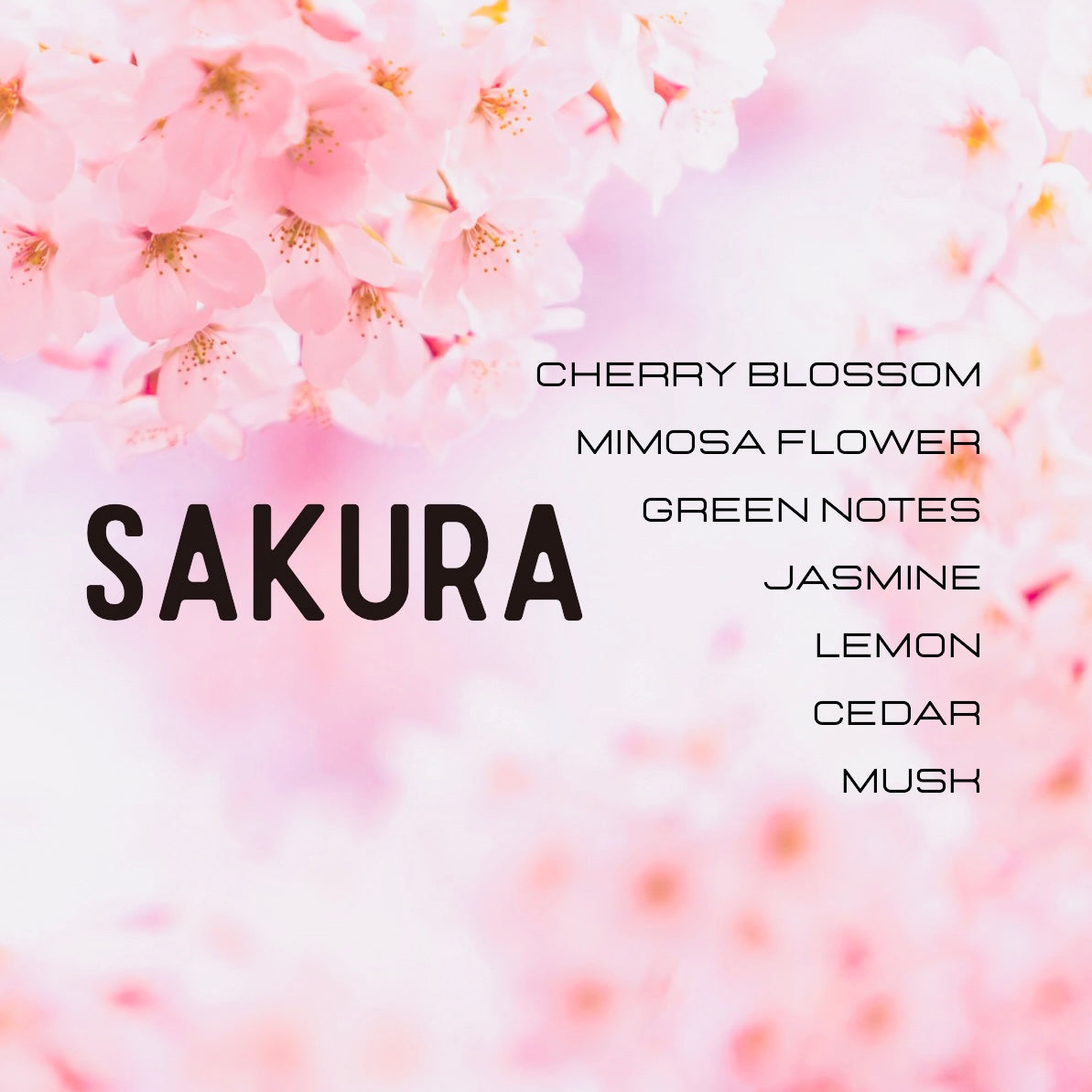 Sakura Perfume (Lush Type)