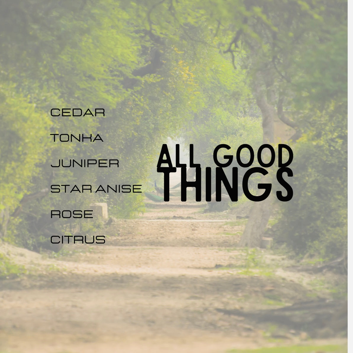 All Good Things Perfume Oil (Lush Type)