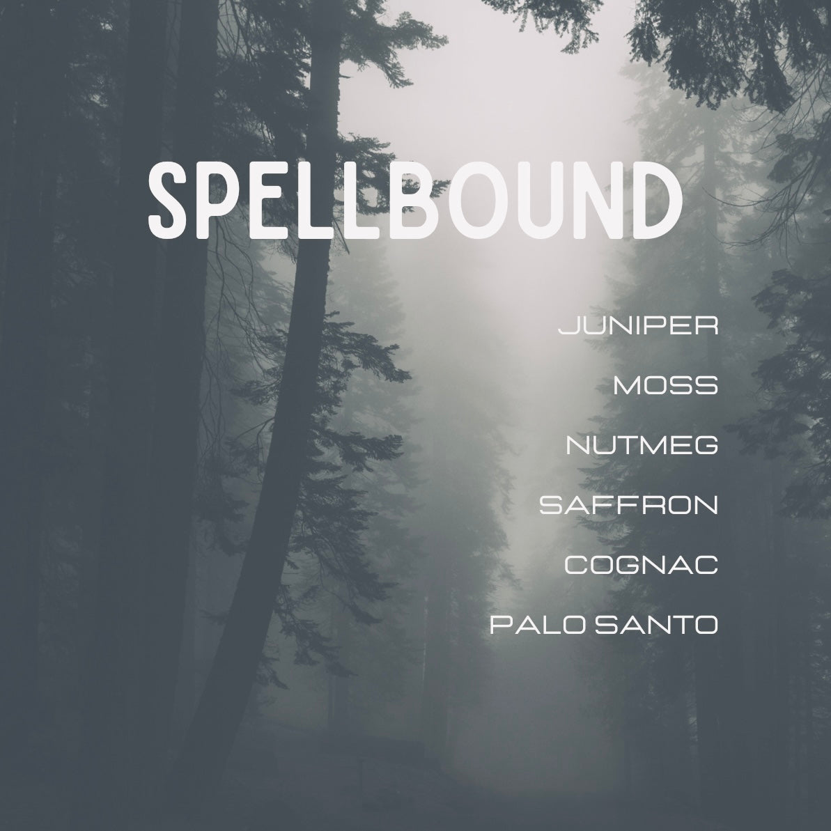 Spellbound Perfume