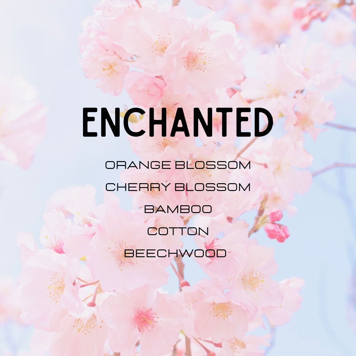 Enchanted Perfume