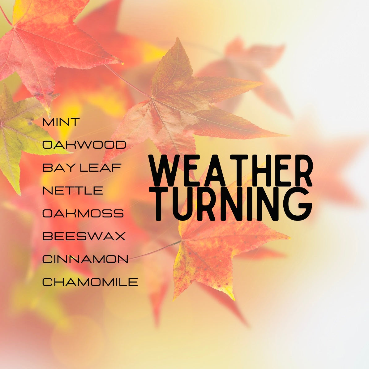 Weather Turning Perfume (Lush Type)