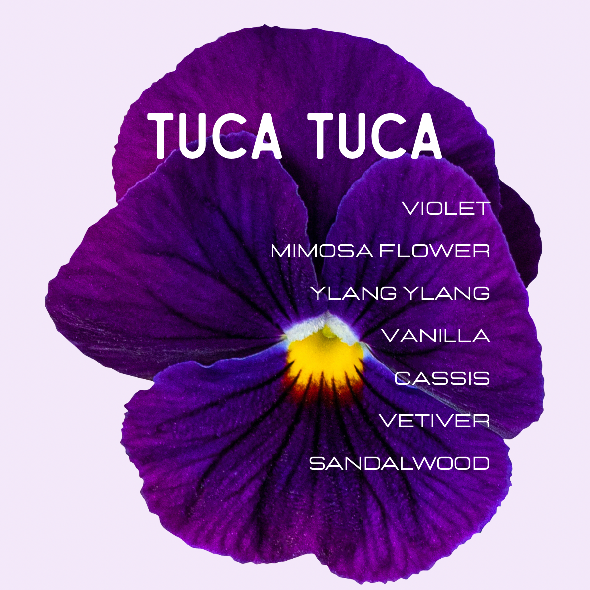 Tuca Tuca Perfume (Lush Type)