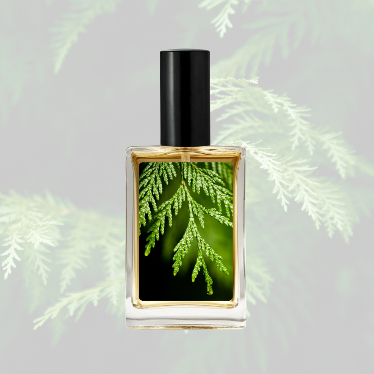 Oudh Heart Perfume (Lush Type)
