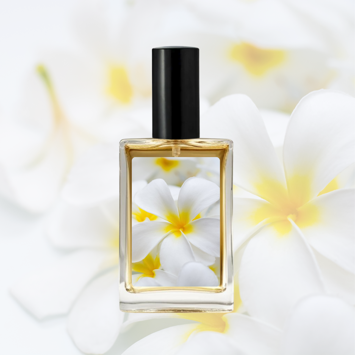 Frangipani Perfume (Lush Type)