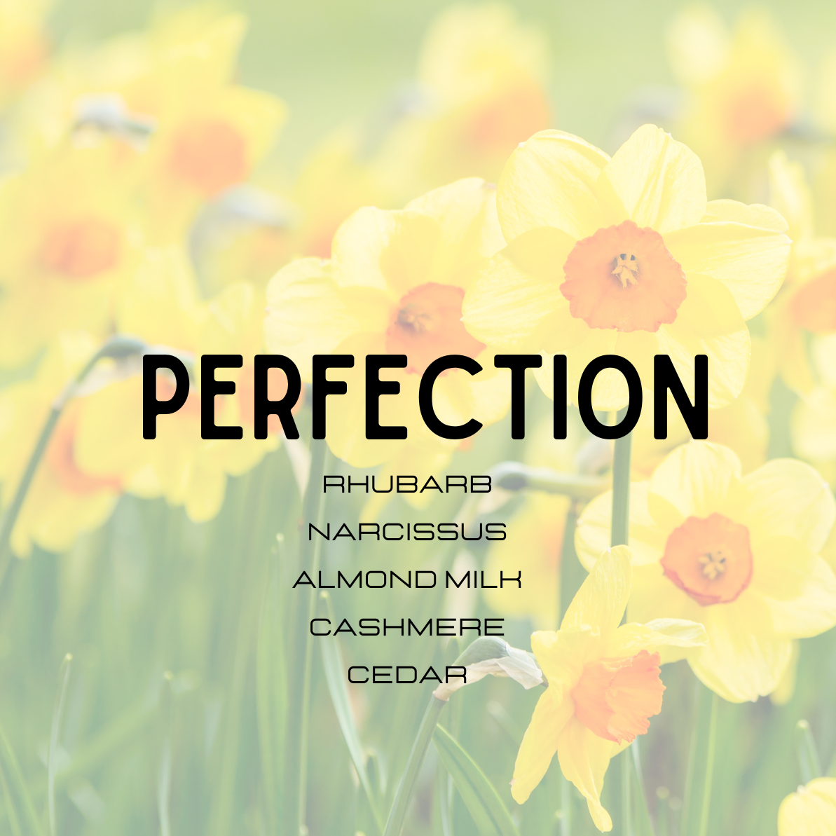 Perfection Perfume (Marc Jacobs Type)
