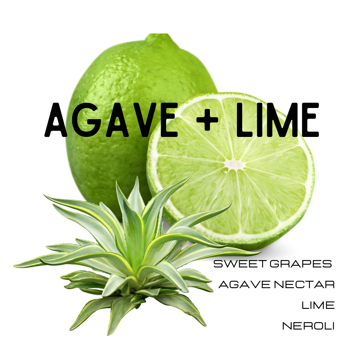 Green agave plant, lime, and lime slice on a white background with text 'AGAVE + LIME'.