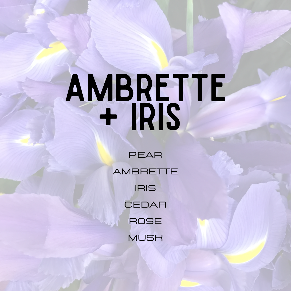 Floral arrangement with text overlay 'Ambrette + Iris' and notes on fragrance notes.