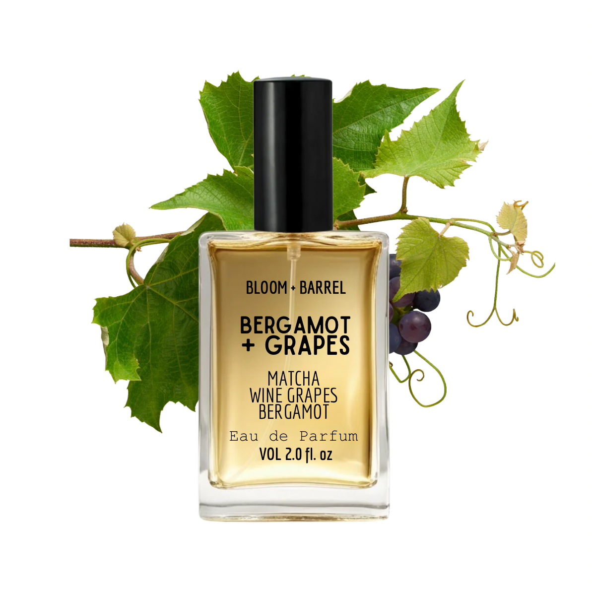 Bottle of Bloom + Barrel Bergamot + Grapes eau de parfum with green leaves and grapes on a white background