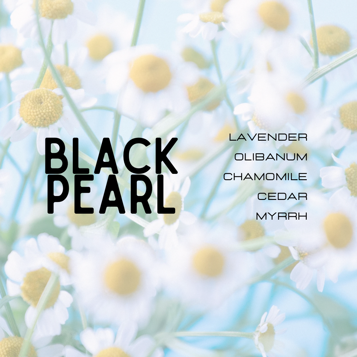 Floral arrangement with 'Black Pearl' fragrance names on a light blue background