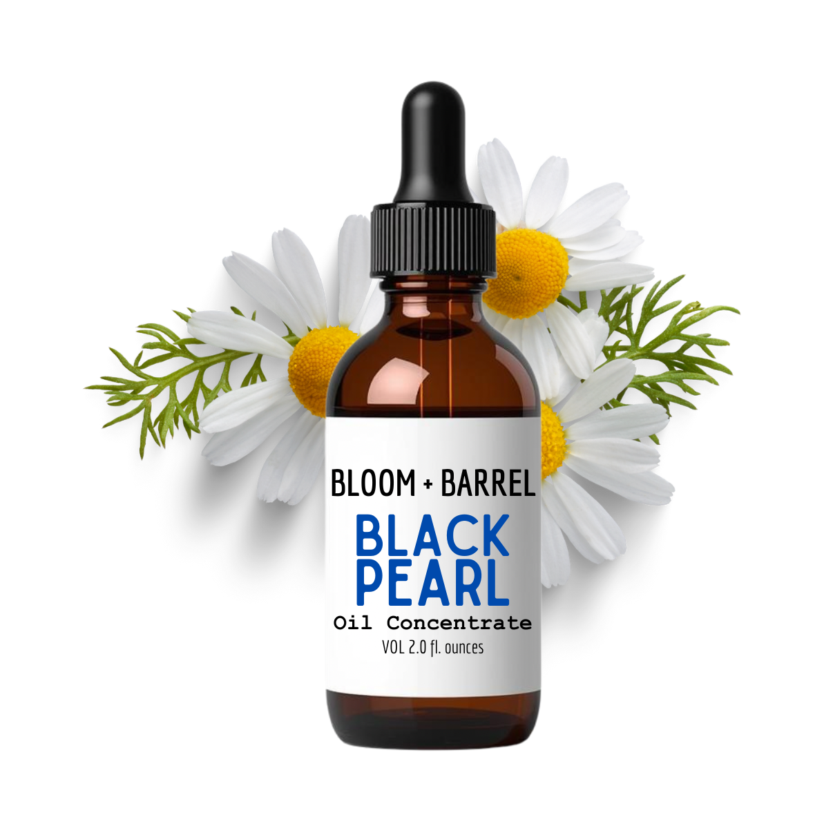 Bottle of Bloom + Barrel Black Pearl Oil Concentrate with daisies on a white background