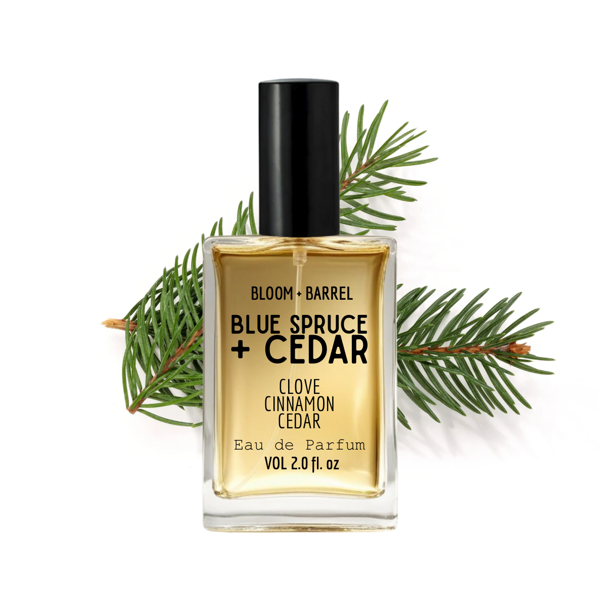 Bottle of 'Blue Spruce + Cedar' eau de parfum with a black cap and green foliage on a white background.