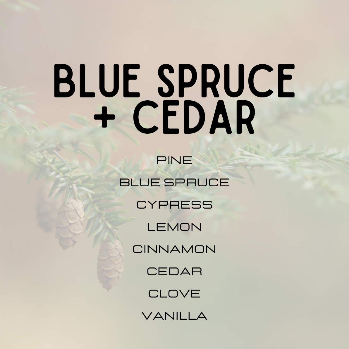 Text overlay with 'Blue Spruce + Cedar' and a list of scents on a blurred background with tree branches.