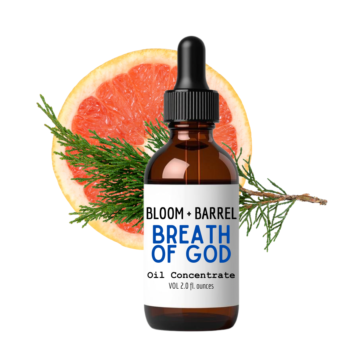 Bottle of Bloom + Barrel Breath of God oil concentrate with a grapefruit and pine branch on a white background