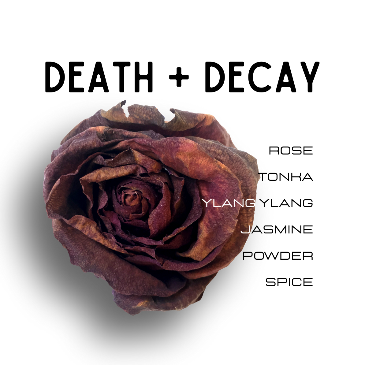 Rose with 'Death + Decay' text and fragrance notes on a white background