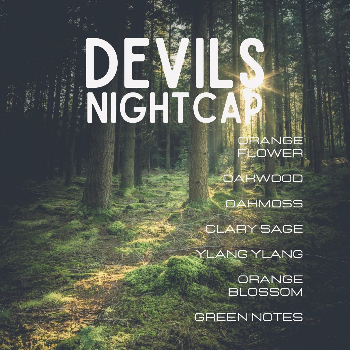 Forest scene with 'Devils Nightcap' product name and scent notes on a dark background