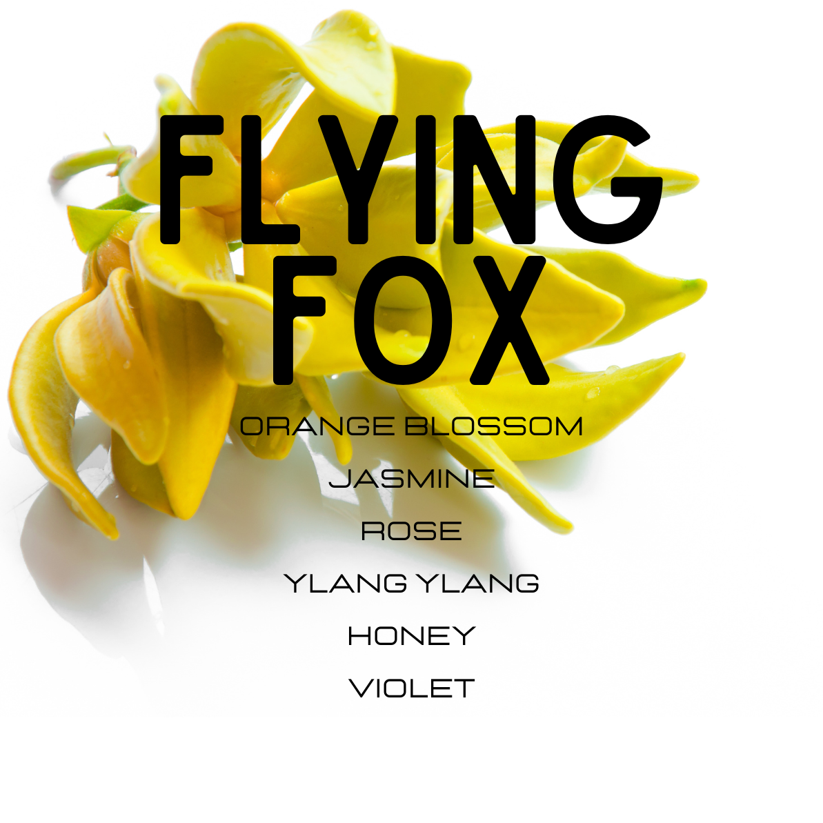 Yellow flowers with 'Flying Fox' fragrance description on a white background