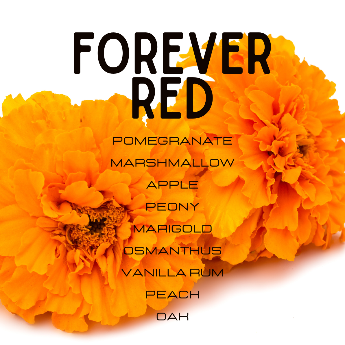 forever red perfume