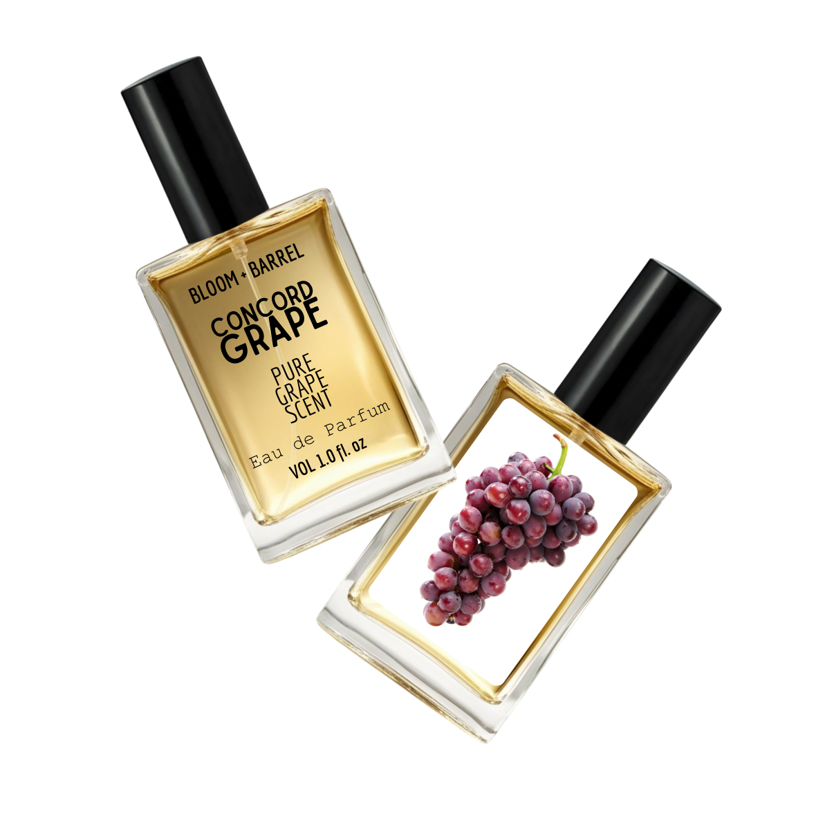 Two perfume bottles labeled 'Concord Grape' by Bloom & Barrel on a white background.