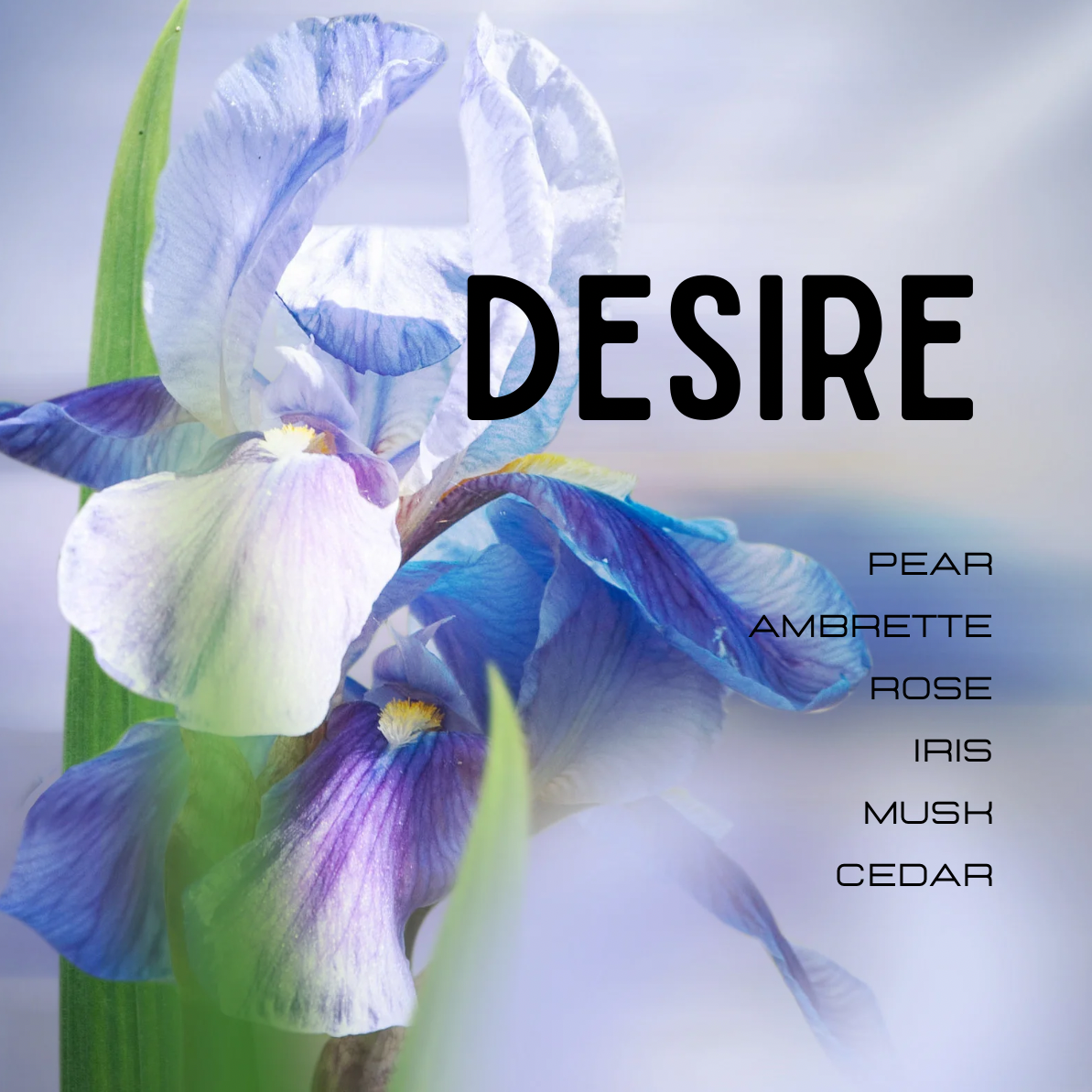 irresistible perfume description