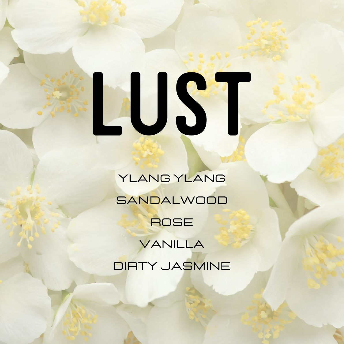 Floral background with 'LUST' and fragrance notes text