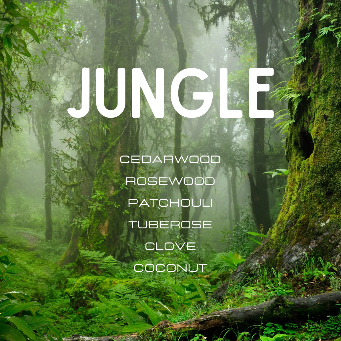 Jungle scene with text overlay of scents like cedarwood, rosewood, and patchouli.