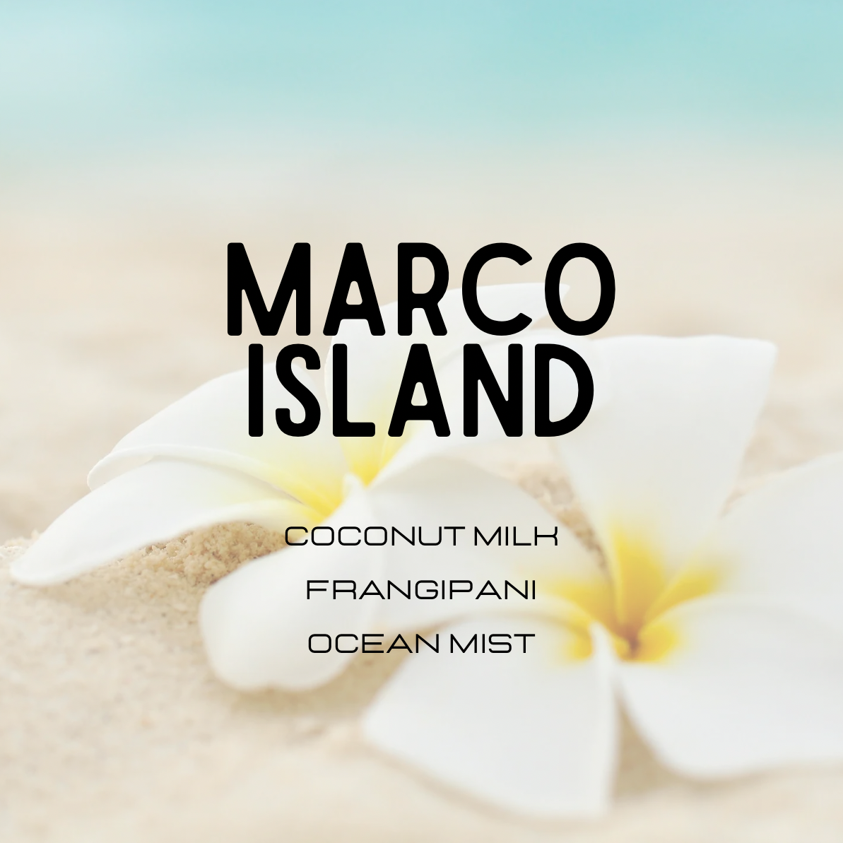 Coconut milk, frangipani, and ocean mist scents with white flowers on sand