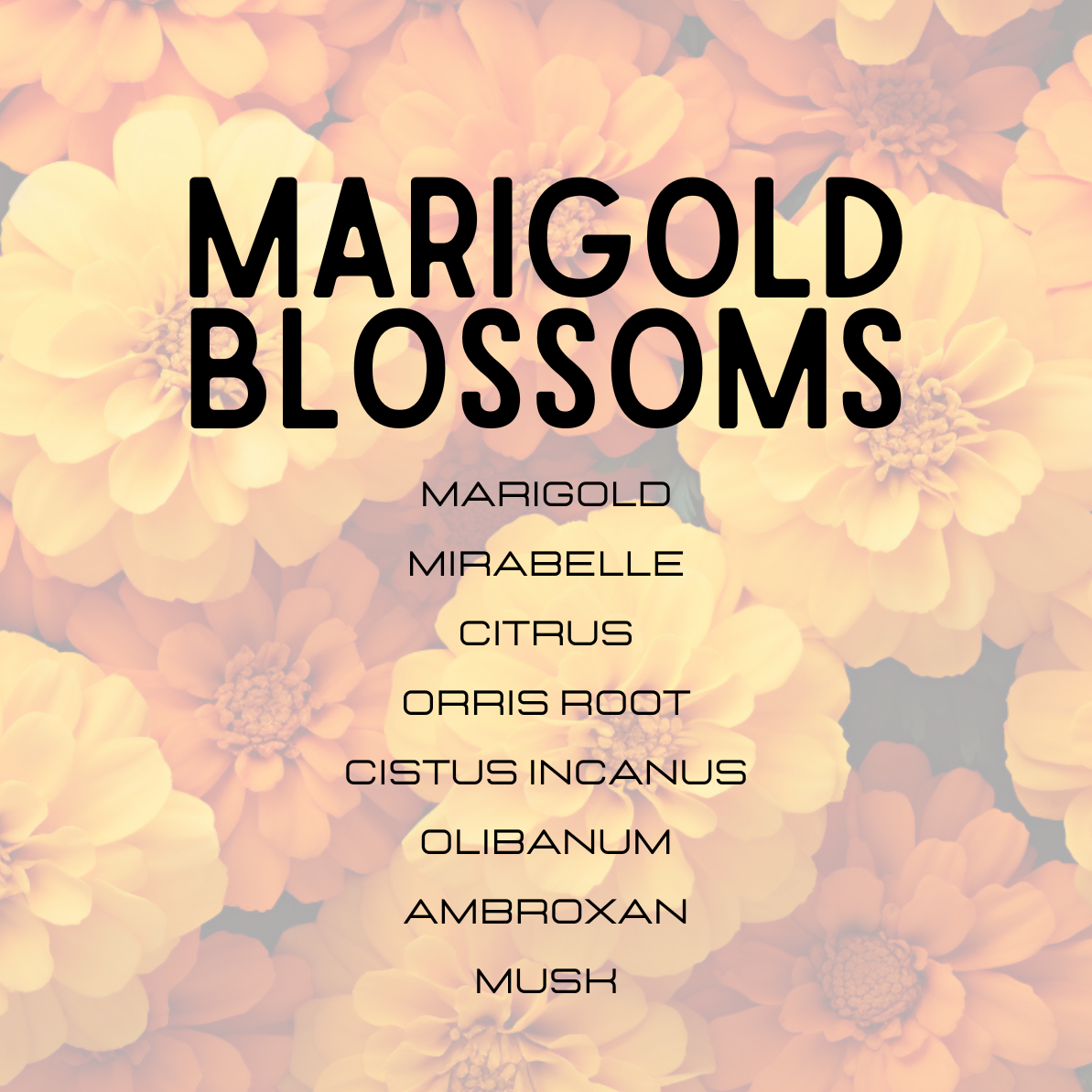 Floral background with text 'Marigold Blossoms' and other names.