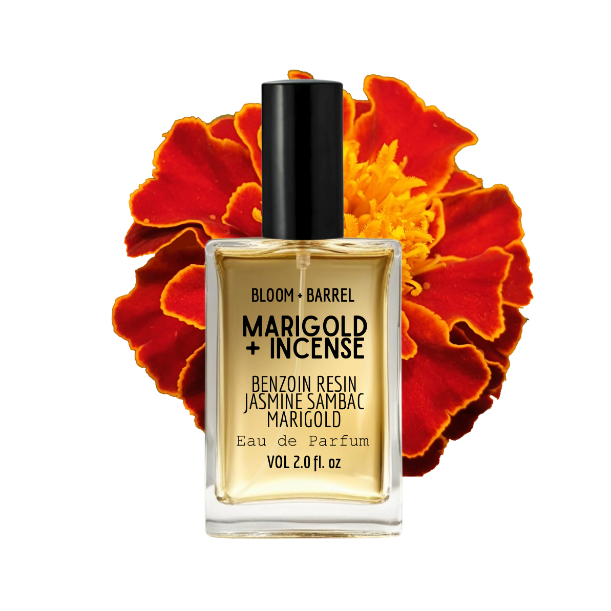 Bottle of Bloom + Barrel Marigold + Incense Eau de Parfum with marigold flowers in the background