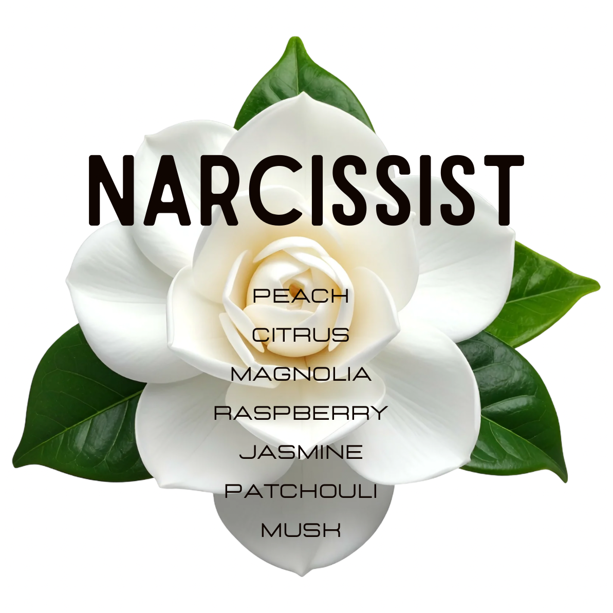 A white magnolia flower graphic with green leaves and bold black text reading 'NARCISSIST' and a list of scent notes including peach, citrus, magnolia, raspberry, jasmine, patchouli, and musk on a white background.