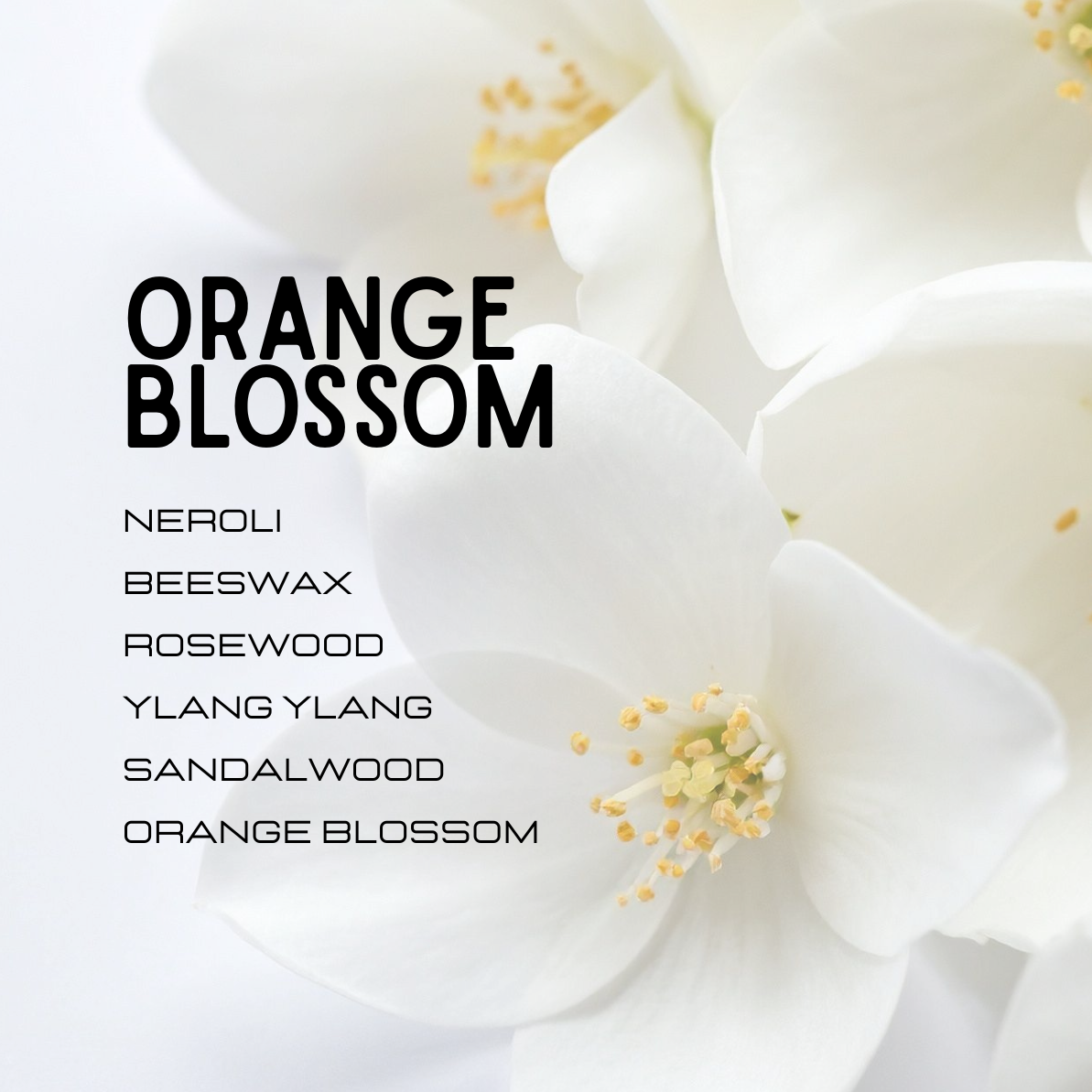 Close-up of white flowers with text listing scents on a white background