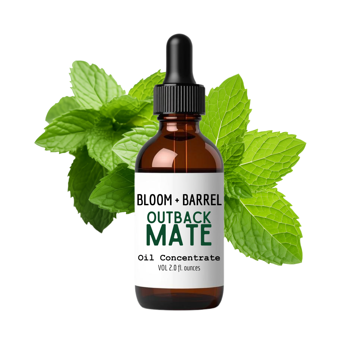 Bottle of Bloom + Barrel Outback Mate Oil Concentrate with mint leaves on a white background
