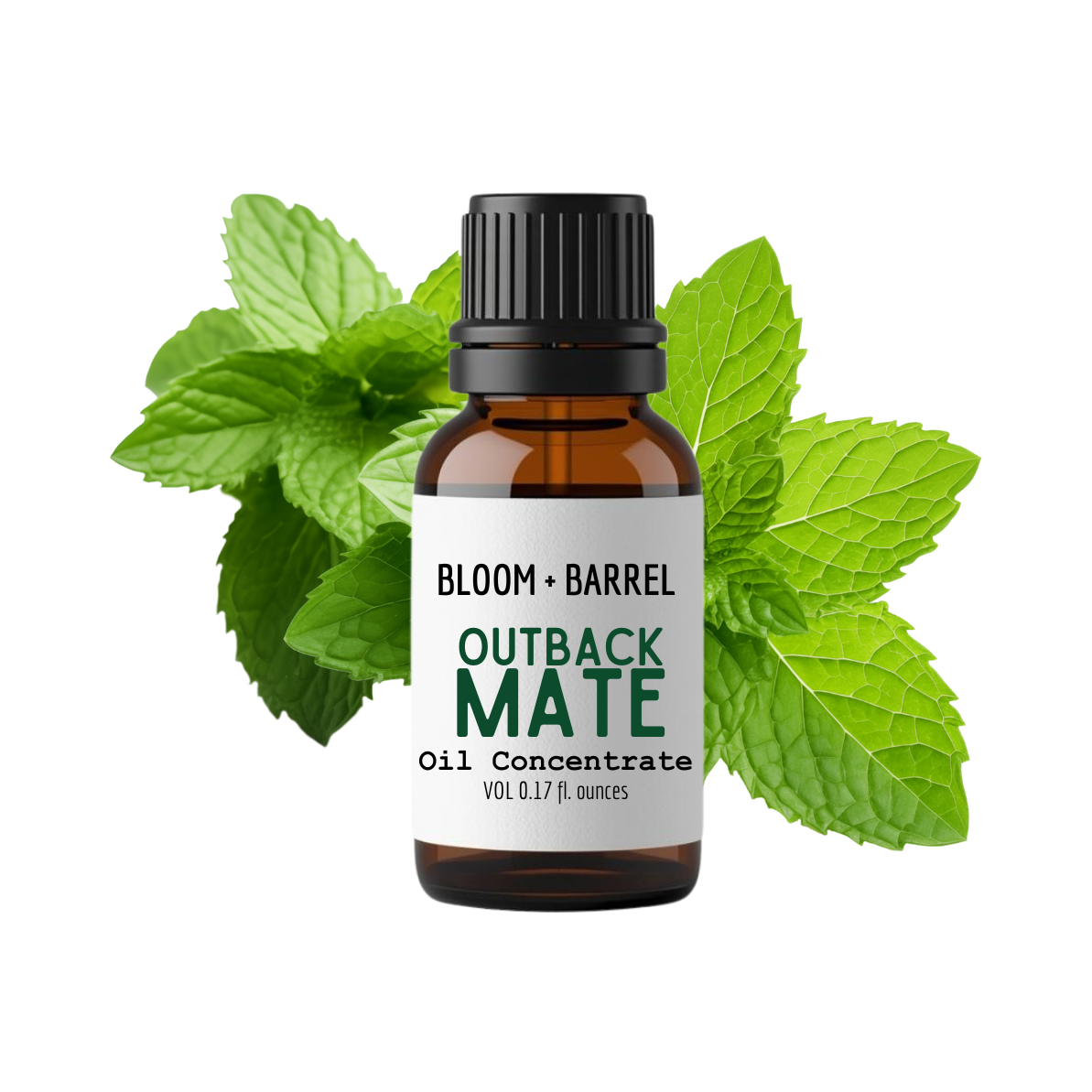 Bottle of Bloom & Barrel Outback Mate Oil Concentrate with mint leaves on a white background