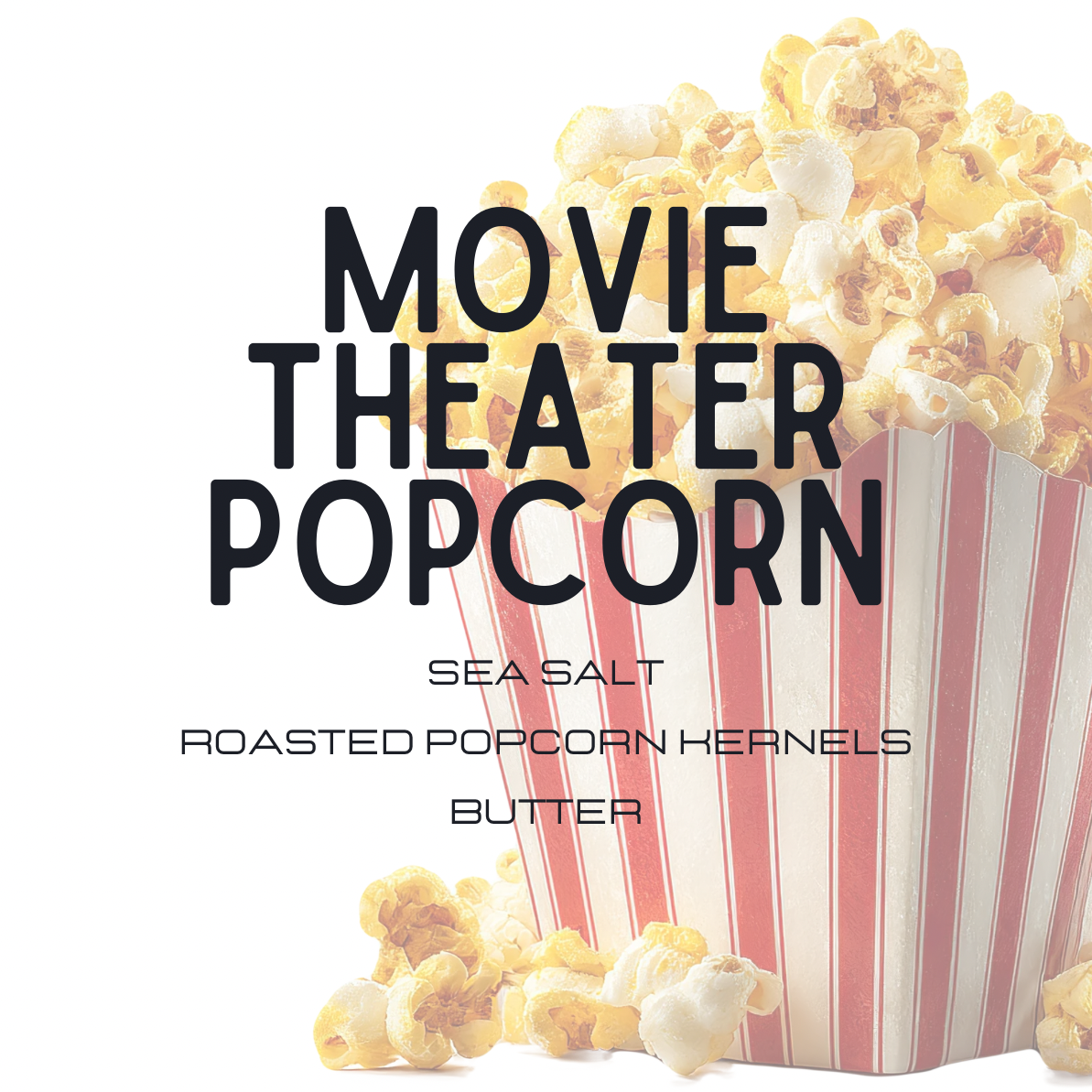A white square graphic with large black text reading 'MOVIE THEATER POPCORN' and smaller text 'SEA SALT ROASTED POPCORN KERNELS BUTTER' beside a red-and-white striped popcorn bucket overflowing with popcorn.