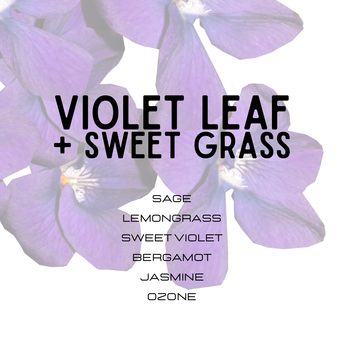 Purple flowers with text overlay on a white background