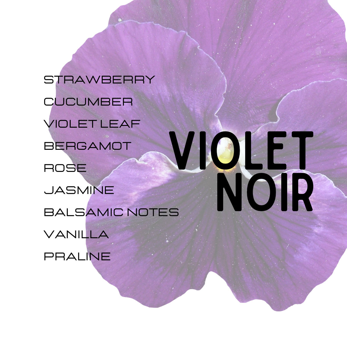 Purple flower with 'Violet Noir' and fragrance notes text on a white background